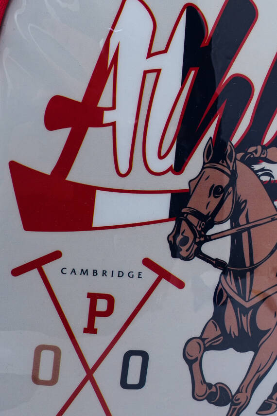 Cambridge Polo Club Erkek Anaokull Çantası - 4