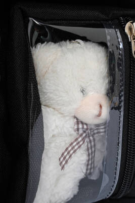 Wia Kawaii Kore Tarzı Ayıcıklı İlkokul ve Beslenme Çantası - 8